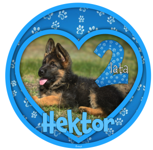 Urodziny Psa Kota Opłatek Na Tort 