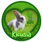 Urodziny Psa Kota Opłatek Na Tort