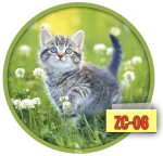 Zrzut ekranu 2020-09-28 o 19.53.13.png