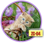 Zrzut ekranu 2020-09-28 o 19.52.58.png