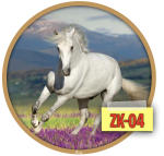 Zrzut ekranu 2020-09-28 o 20.45.36.png